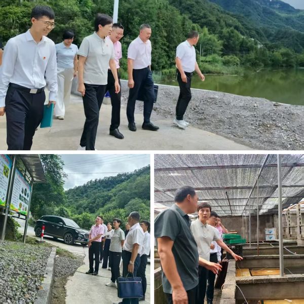 省地质院赴谭村村调研乡村振兴工作