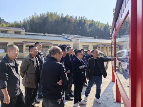 亮燈了，路通了，心安了！地質(zhì)湘軍助大雁山村煥新重生