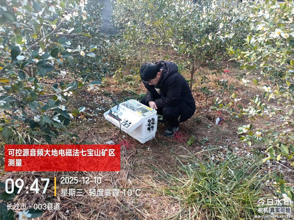 省地質(zhì)院郭友軍、王磊入選2025湖南省“芙蓉計劃”青年人才項目